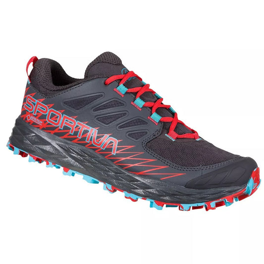 La Sportiva Lycan GTX Womens EU39 UK6 - Seconds